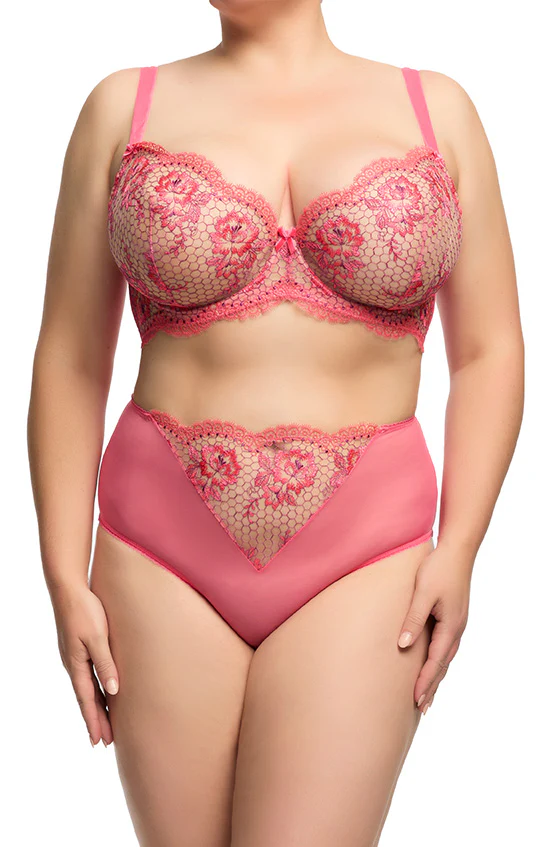 Evelina Hi Cut Brief - Blood Orange - Image 4