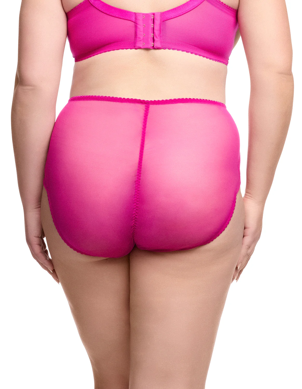 Julie's Roses High Waist Brief - Rubine - Image 2